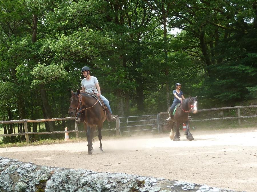 Balade  cheval Corrze PNR de Millevaches en Limousin photo 4