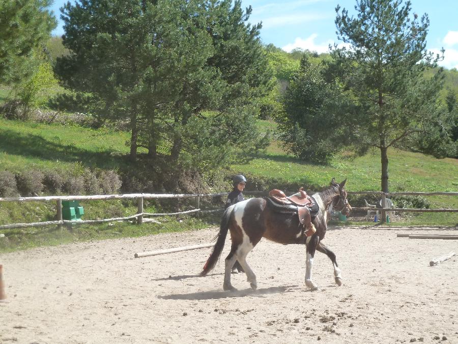 Stage quitation   photo 5