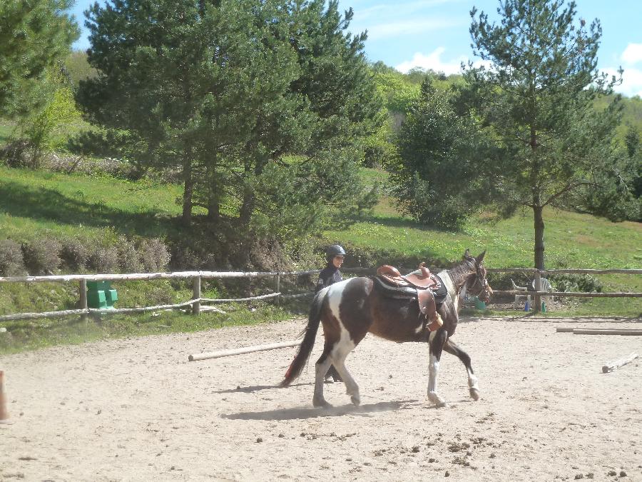 Balade  cheval Corrze PNR de Millevaches en Limousin photo 5