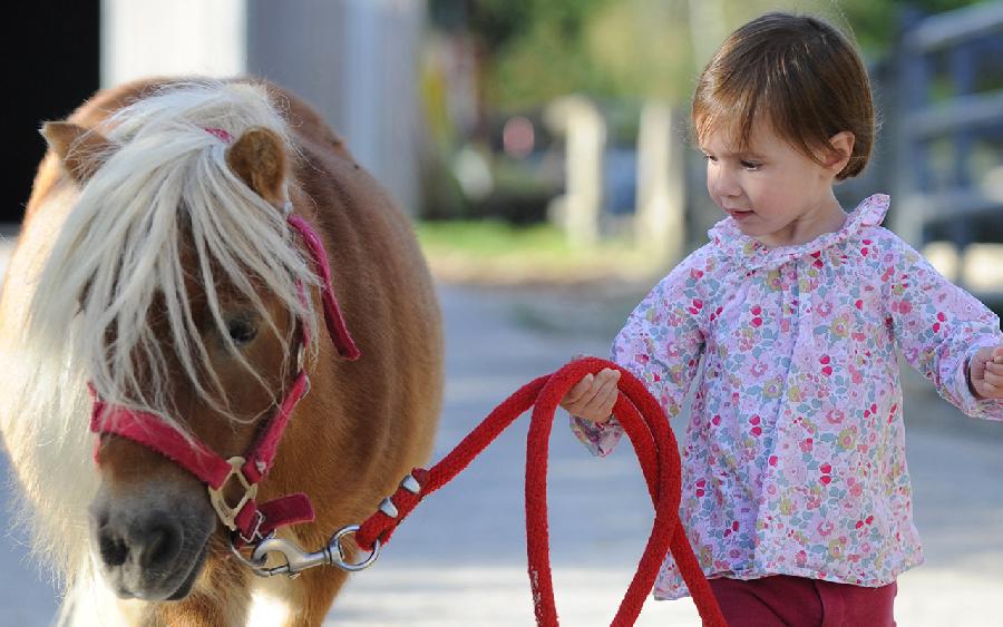 stage Baby Poney Vienne