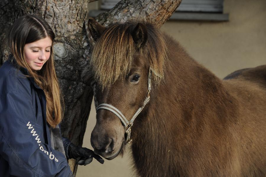 Stage �quitation   photo 2