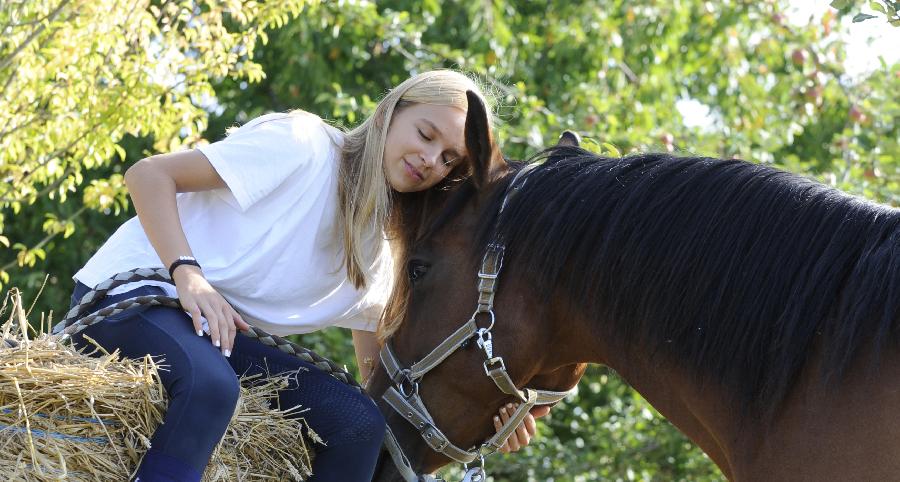 Stage �quitation   photo 2