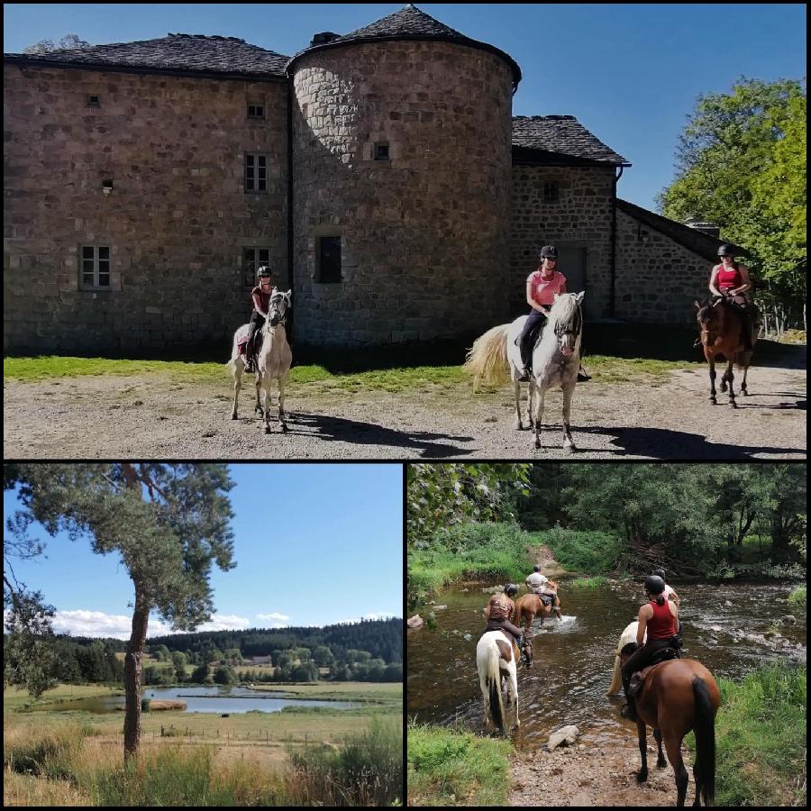 sejour Haute-Loire  photo 2