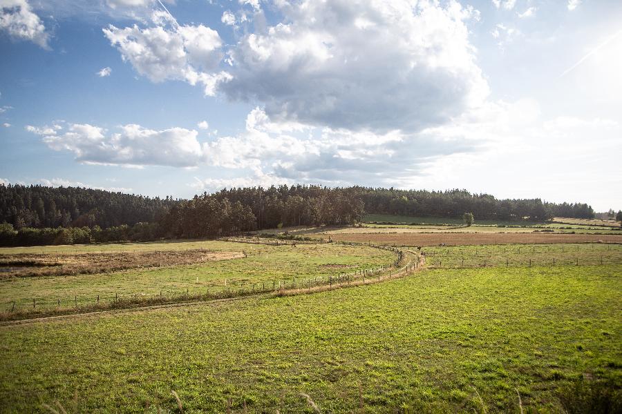 Stage quitation Haute-Loire  photo 4