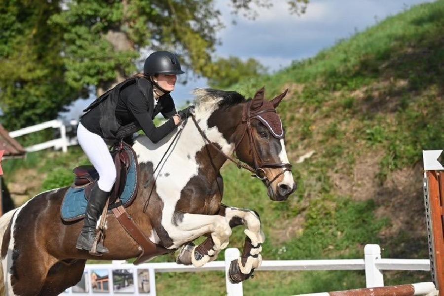 Stage �quitation   photo 3