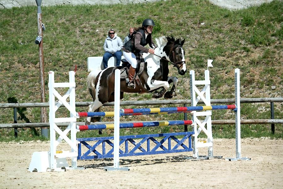 stage Equitation classique Haute-Loire