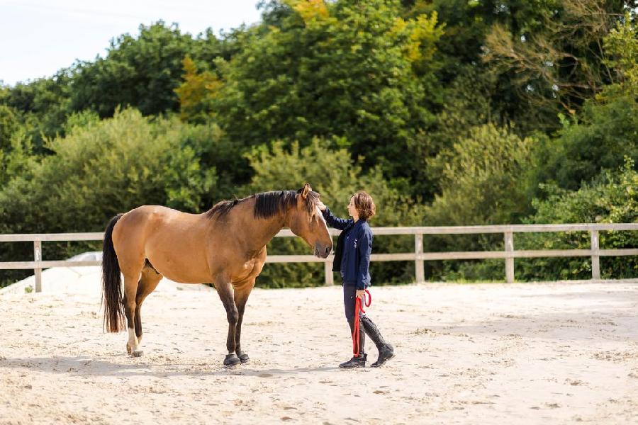 sejour Cheval et bien-tre Ctes-dArmor