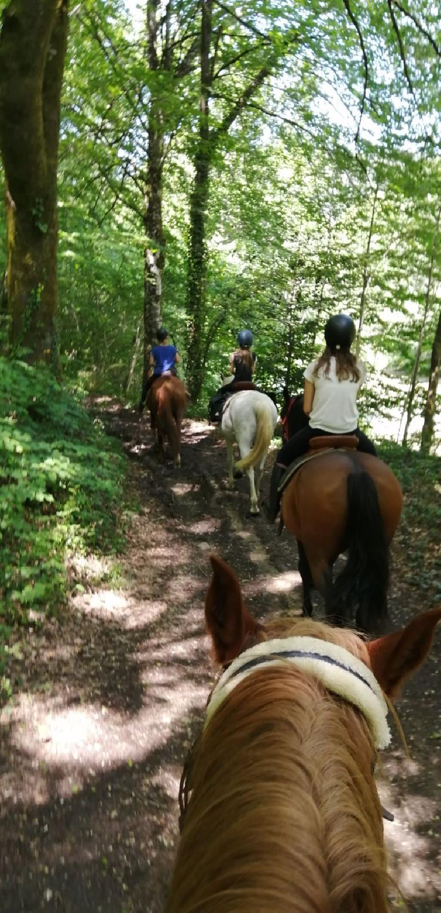 Stage quitation   photo 2