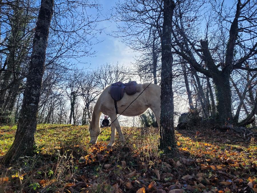 S�jour �questre   photo 3