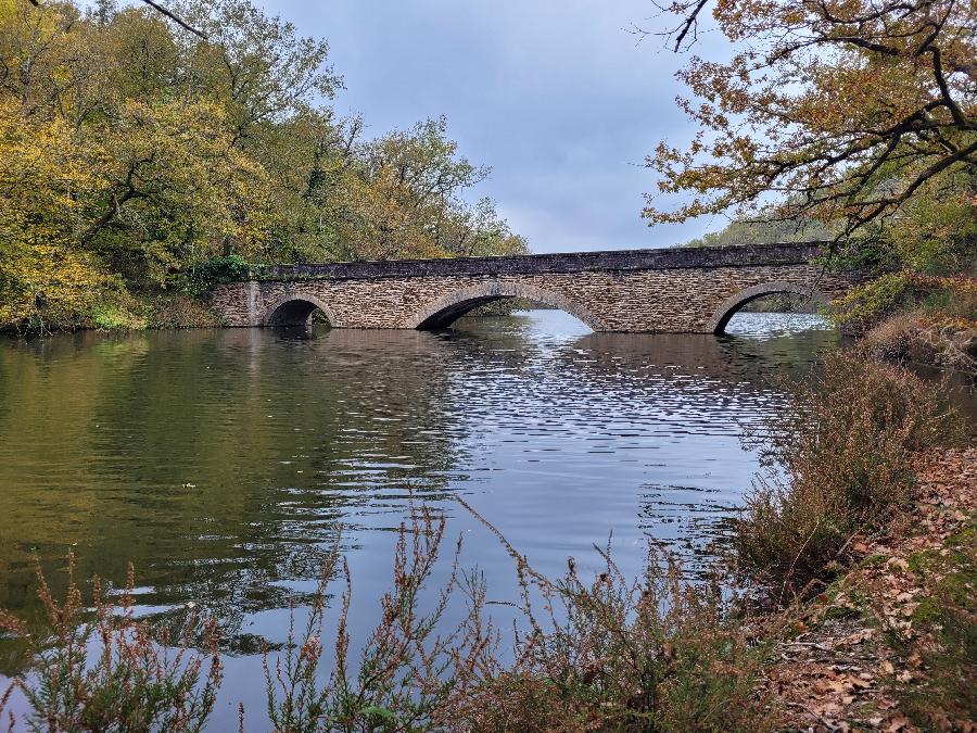 S�jour �questre   photo 6