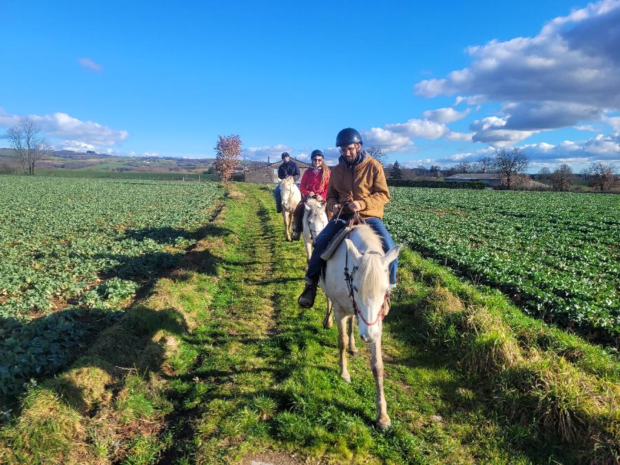 Stage �quitation   photo 6