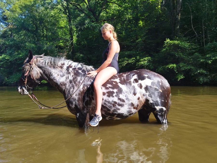 stage Equitation de pleine nature Aveyron