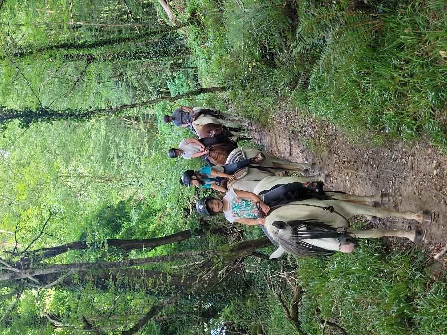 S�jour �questre   photo 2