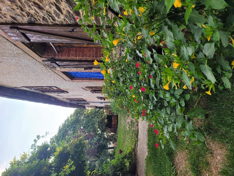 S�jour �questre   photo 3