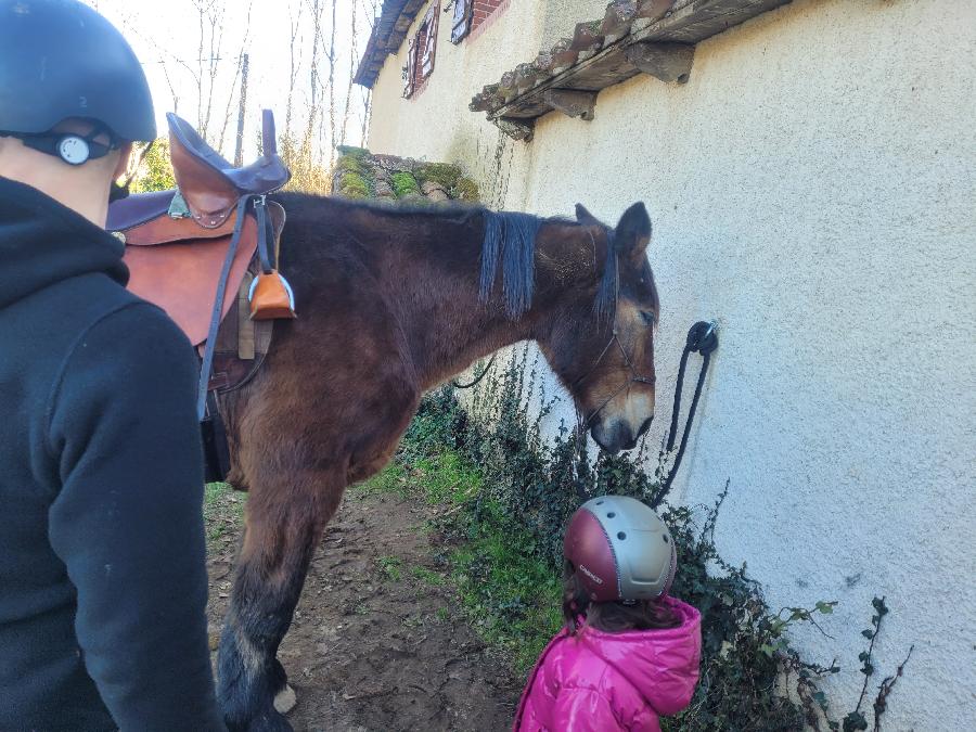 S�jour �questre   photo 4