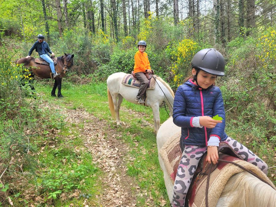 S�jour �questre   photo 5