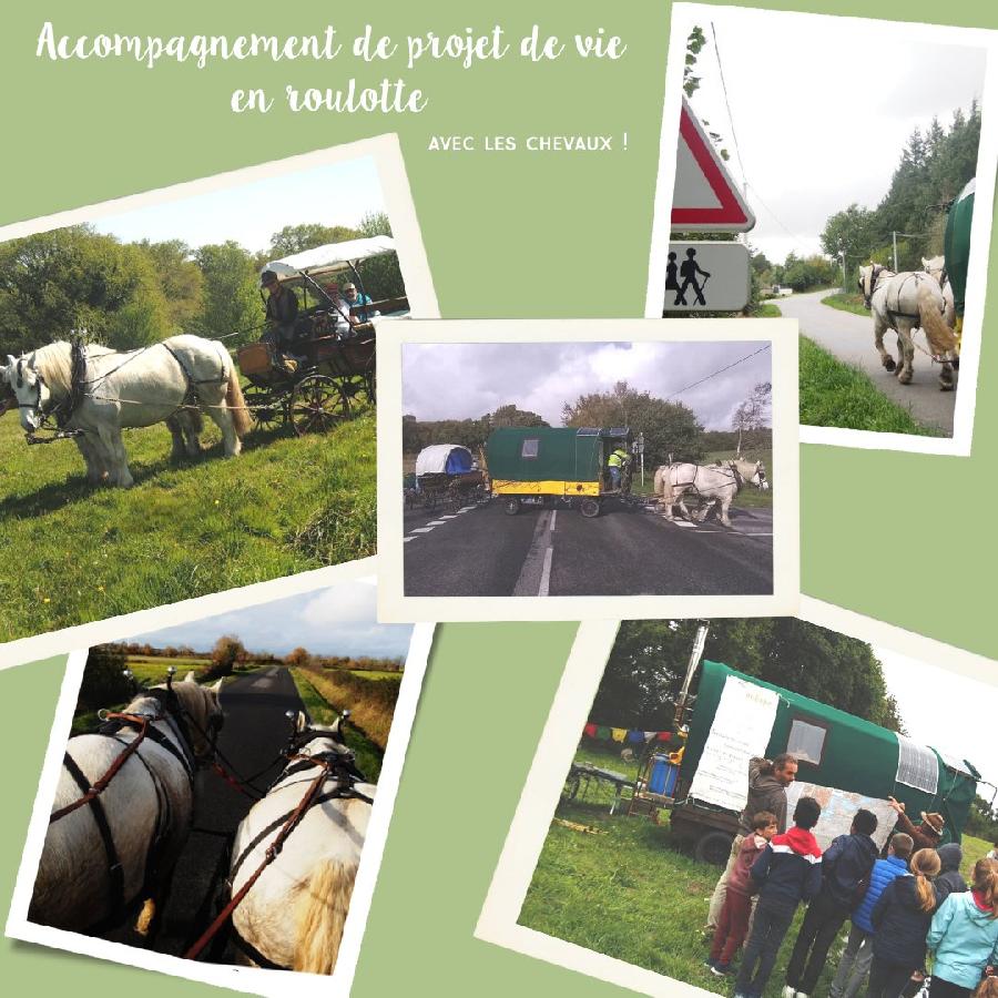 Stage quitation   photo 3