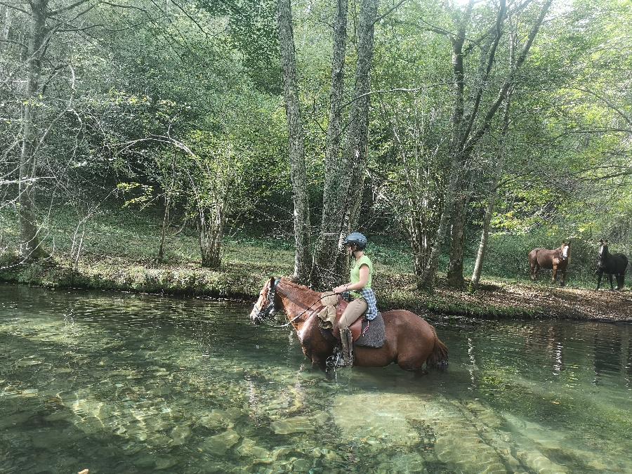 Sjour questre Hautes-Pyrnes Pyrnes photo 2