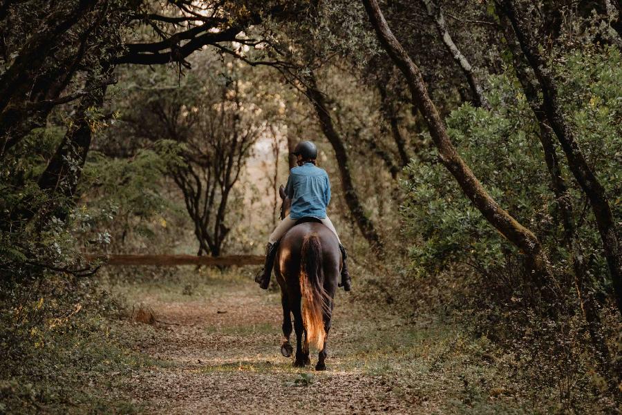 Stage quitation   photo 4