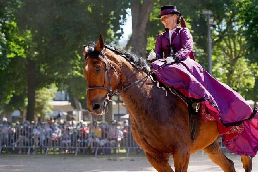 stage Equitation en amazone Puy-de-dme