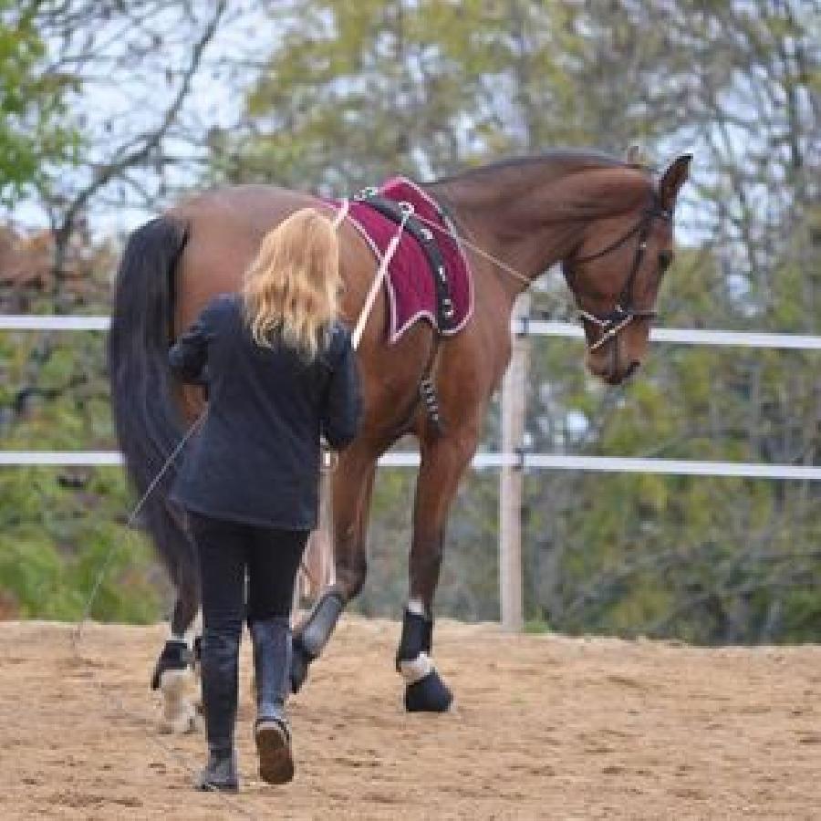 Stage quitation   photo 2