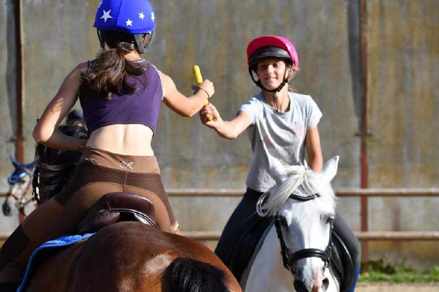 stage Dcouverte cheval poney Puy-de-dme
