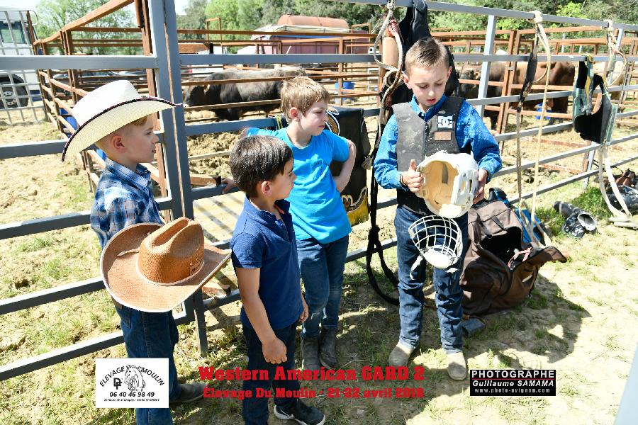 stage Stage questre multi-activits Ardche