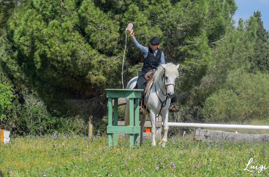stage Stage questre multi-activits Ardche