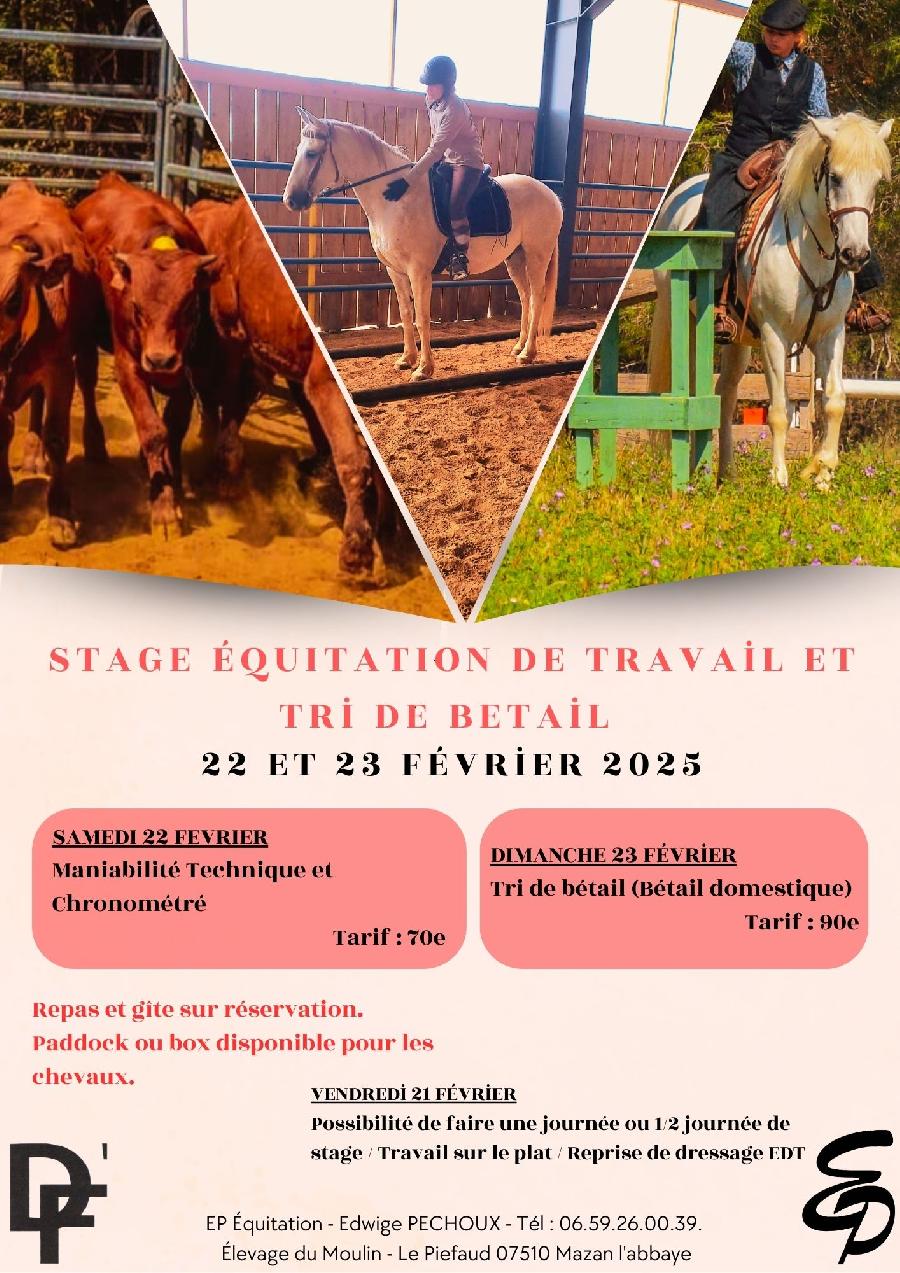 Stage quitation   photo 6