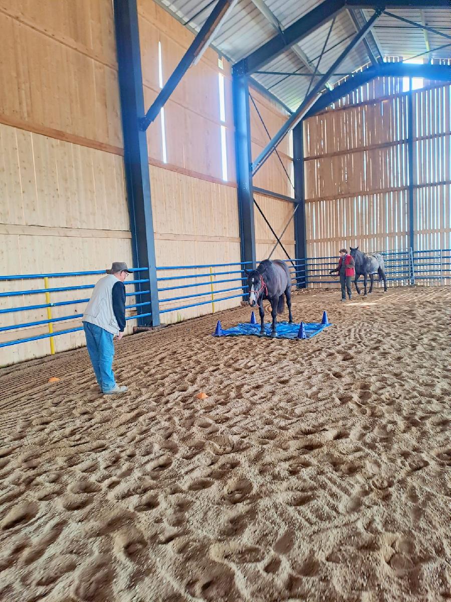 Stage quitation   photo 2