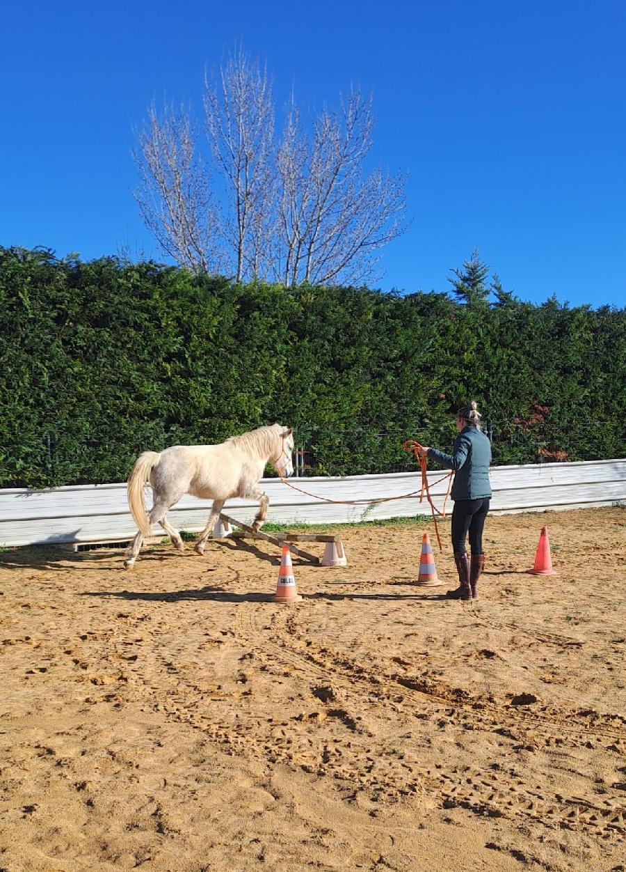 Stage quitation   photo 4
