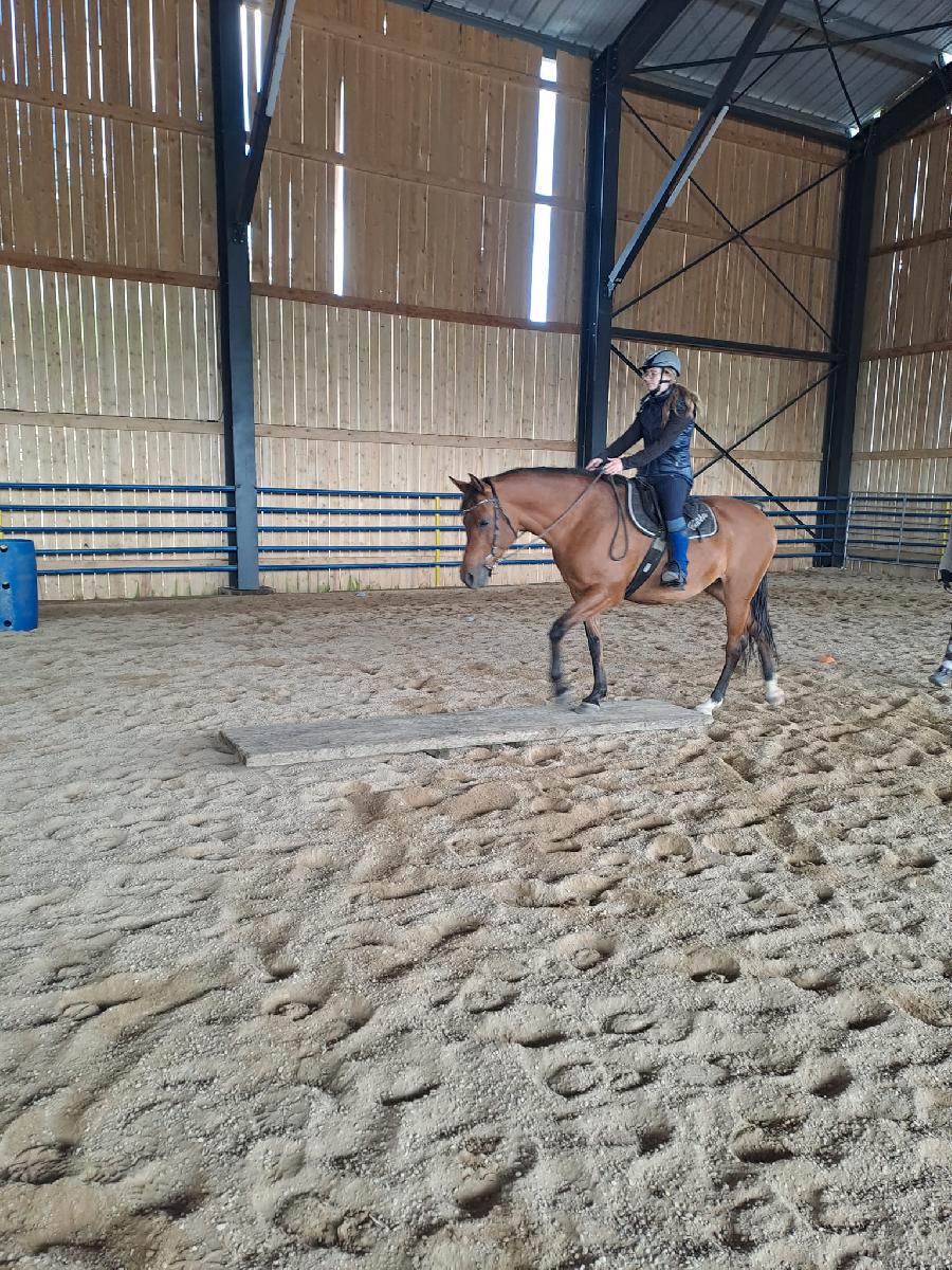 Stage quitation   photo 5