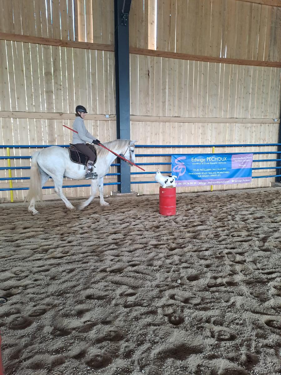 Stage quitation   photo 5