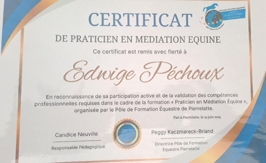 Stage quitation   photo 3