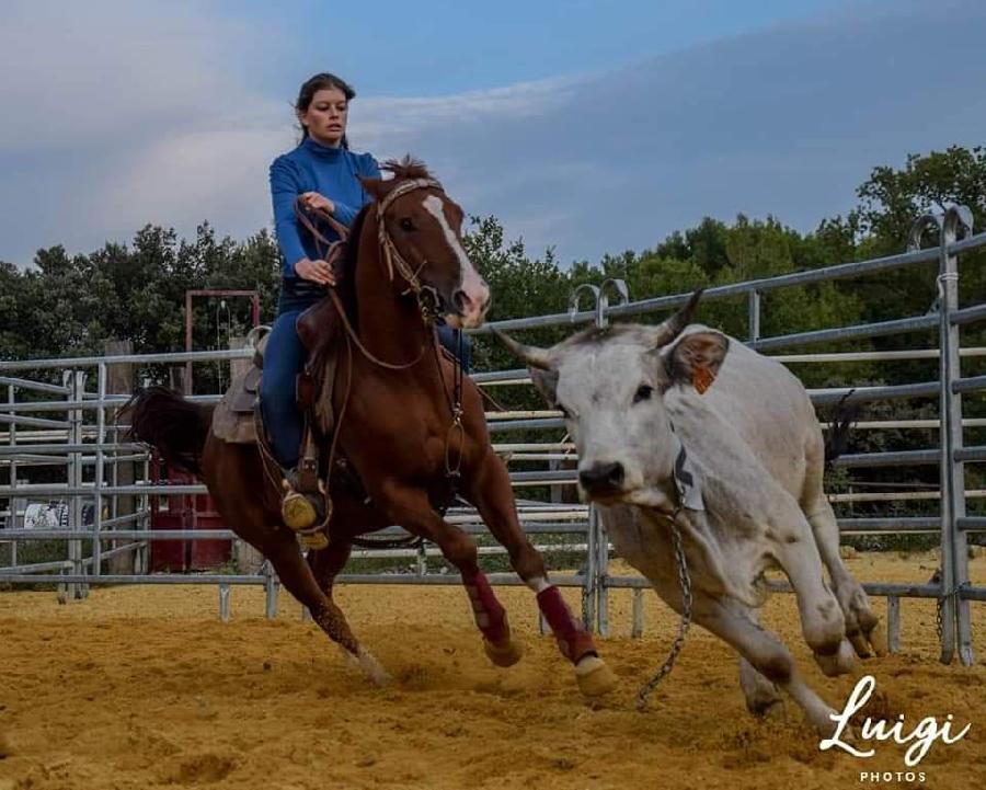 Stage quitation   photo 2