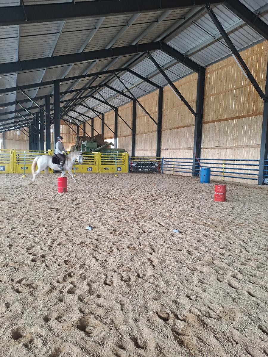 Stage quitation   photo 3