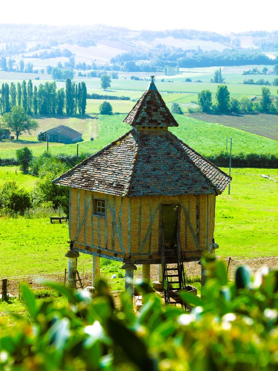 sejour Tarn-et-Garonne Quercy photo 2