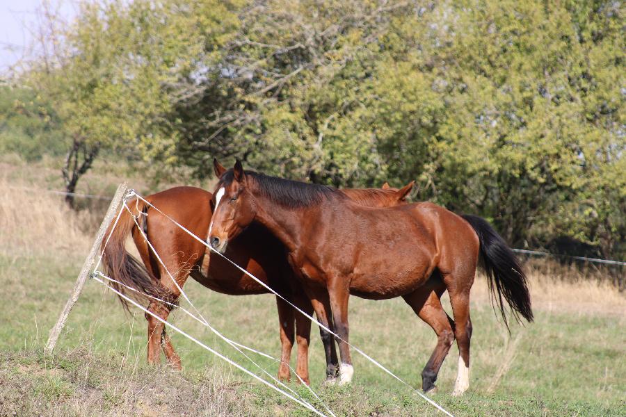sejour Tarn-et-Garonne Quercy photo 4