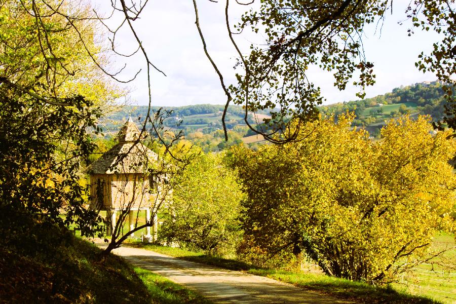 sejour Tarn-et-Garonne Quercy photo 6