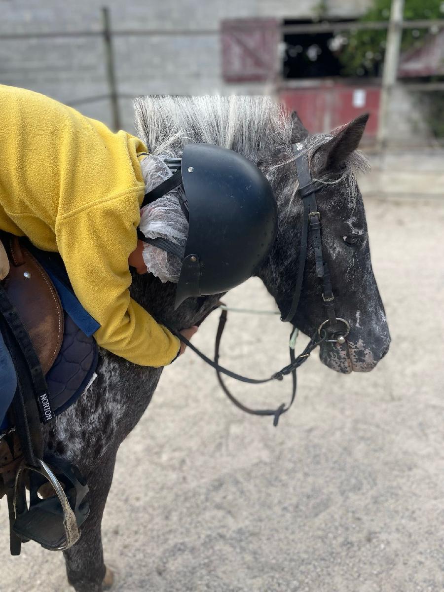 Stage quitation   photo 2