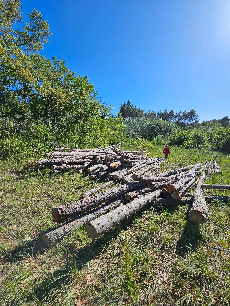 Sjour questre   photo 3