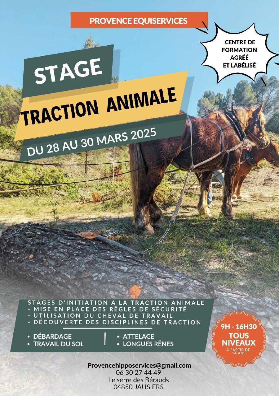 Stage quitation   photo 5