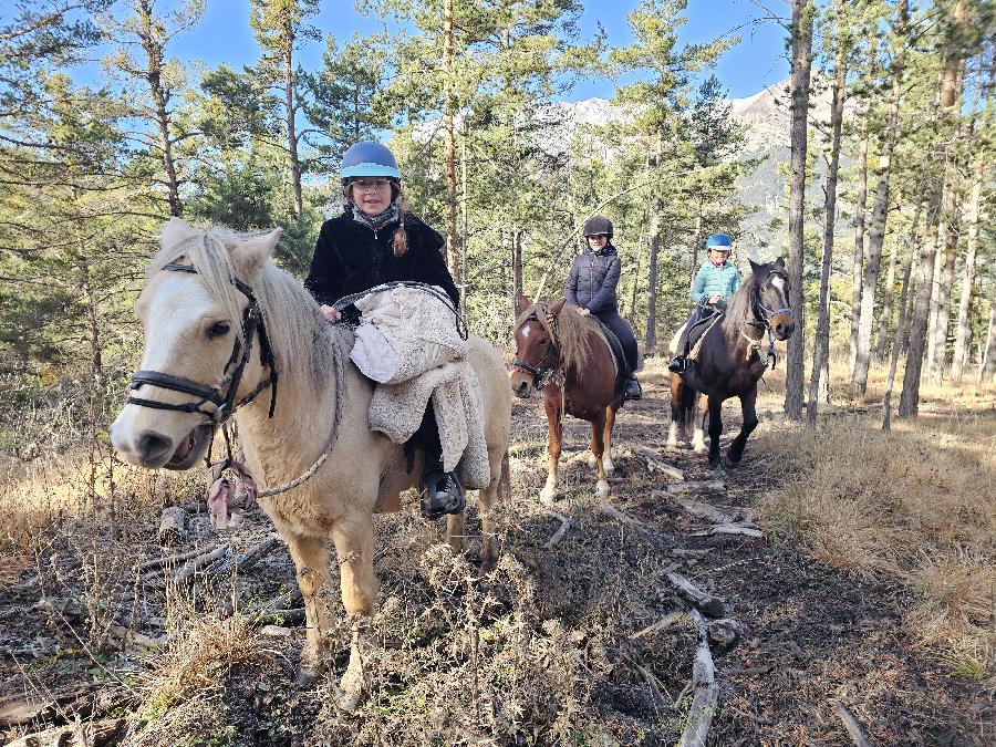 Stage quitation   photo 4