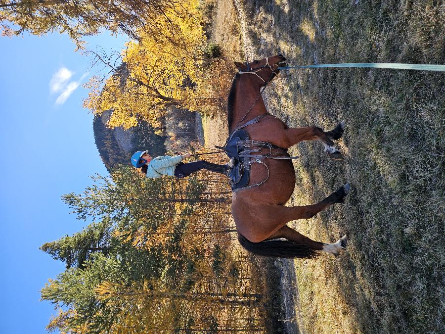 Stage quitation   photo 5