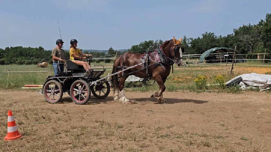 Sjour questre   photo 3