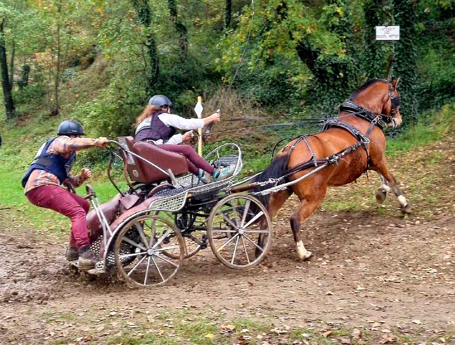 Sjour questre   photo 4