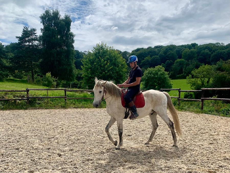 stage Dressage Seine-Maritime