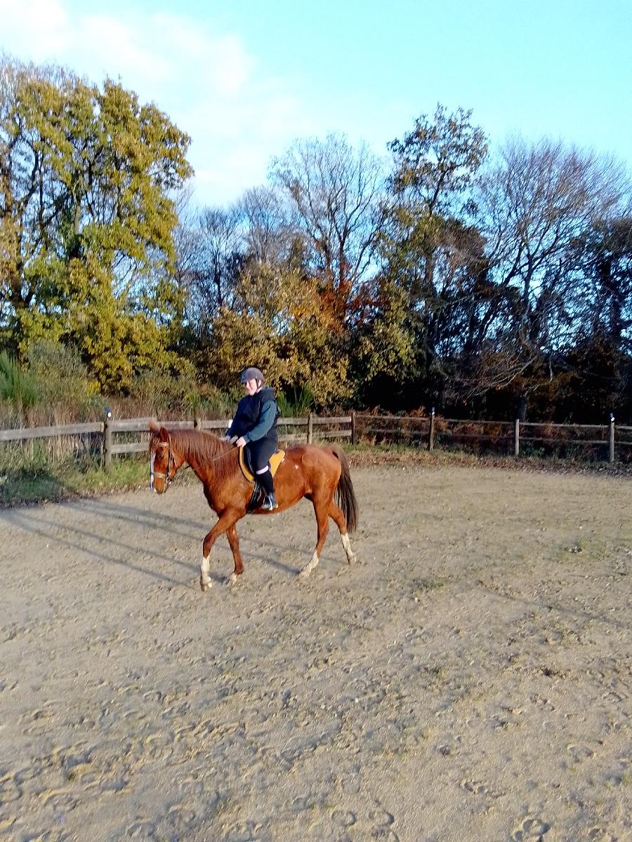 Stage �quitation   photo 2