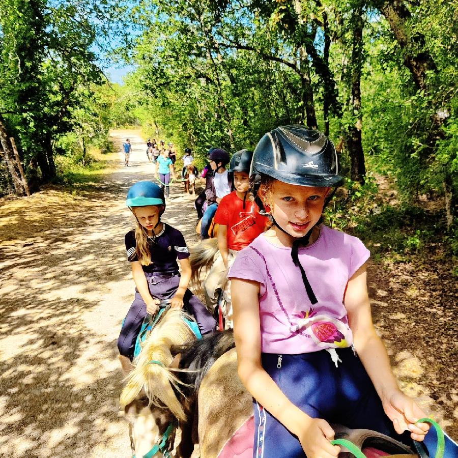 Stage �quitation   photo 3