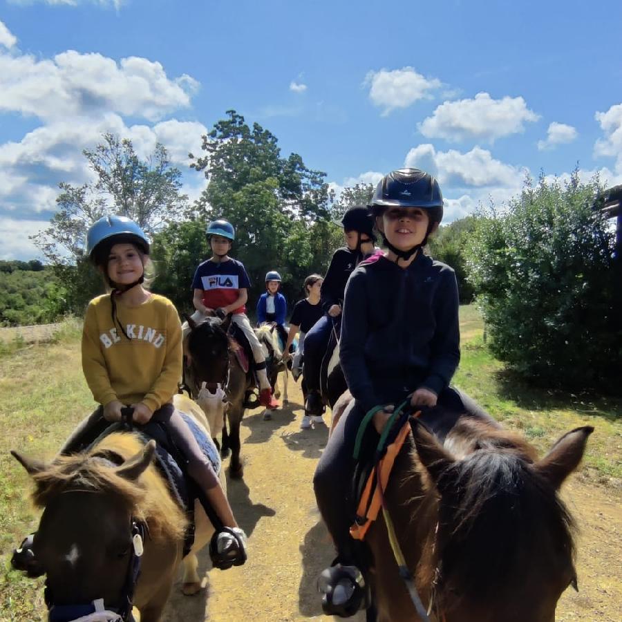 Stage �quitation   photo 4